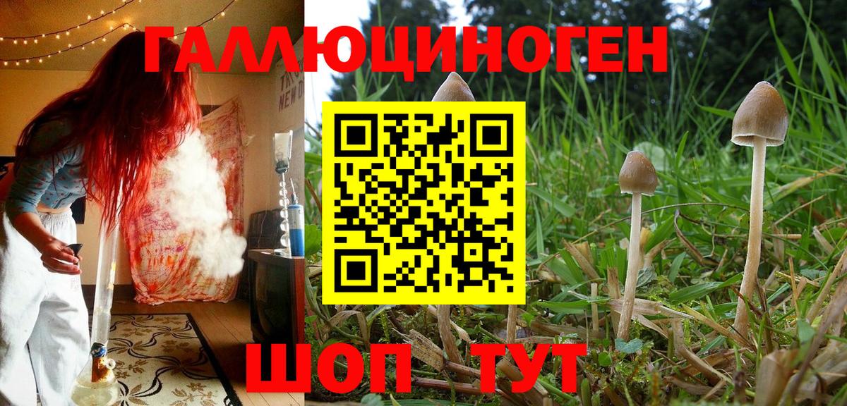 Галлюциногенные грибы прущие грибы Нальчик