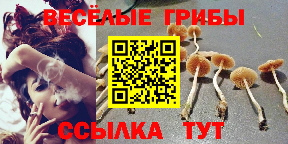 Галлюциногенные грибы GOLDEN TEACHER  Вход с VPN  Псилоцибиновые грибы ЛСД  Нальчик 